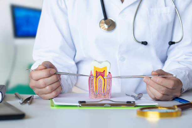 Best Emergency Treatment for Oral Infections in Meadowbrook, CA